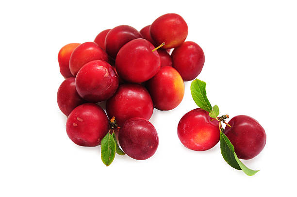 ripe plums stock photo