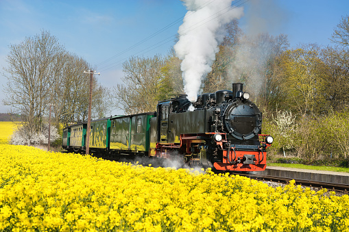 Historical steam train on island Ruegen in spring