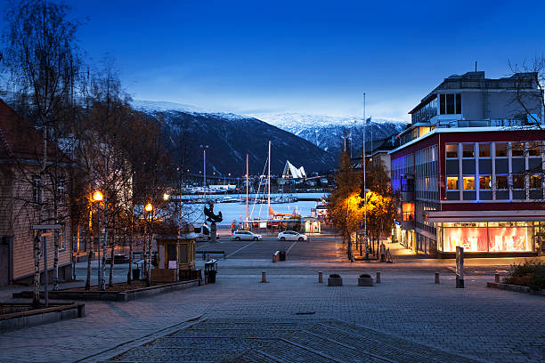 Tromso is a city and the largest urban area in Northern Norway.