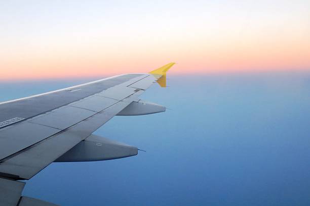 istock Airplane wing in the morning 482014516