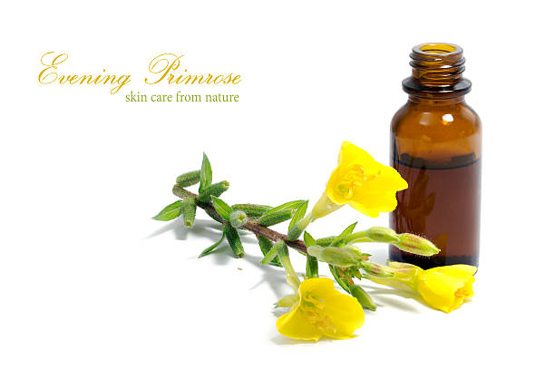 istock evening primrose oil, flowers and a bottle, isolated on white 482014976