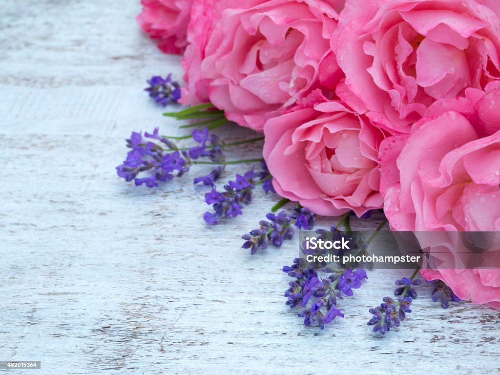 Pink roses and lavender bouquet on the white background Bright pink roses and lavender bouquet on the white painted rustic background 2015 Stock Photo