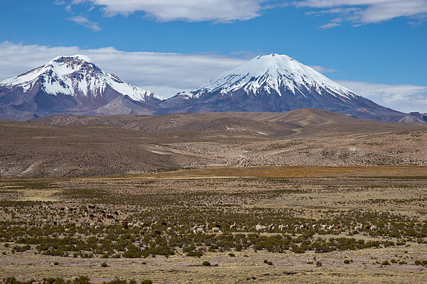 istock Volcanos on the Altiplano 482015890