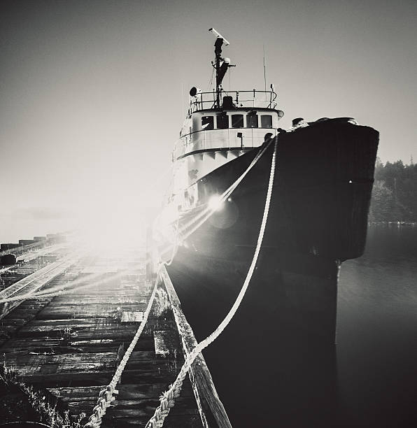 istock Lights on the Tugboat Wharf 482018266