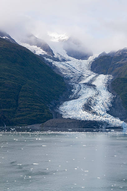 istock College Fjord 482018658