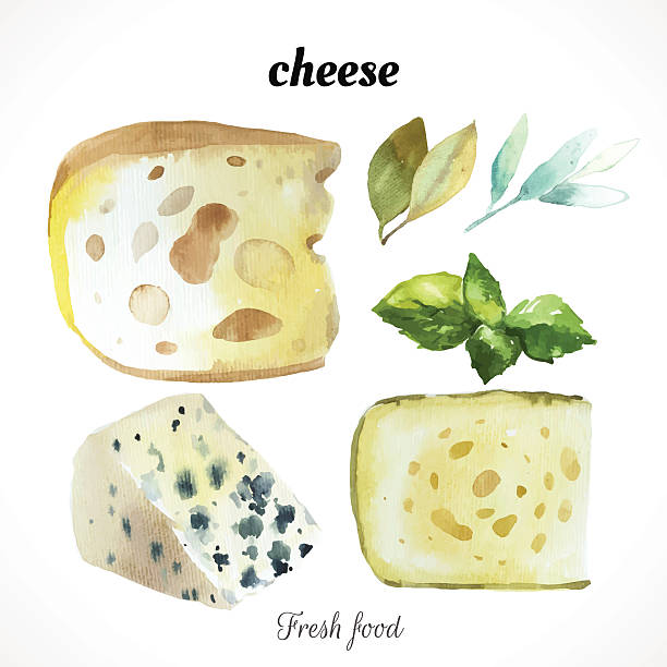 Vector Illustration with watercolor food. Watercolor illustration of a painting technique. Fresh organic food. Set of different noble cheeses. Bar blue cheese. blue cheese stock illustrations