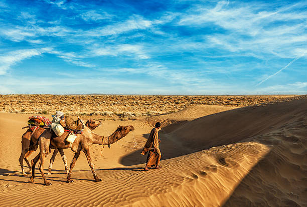 istock Cameleer camel driver with camels in dunes of Thar desert 482020222
