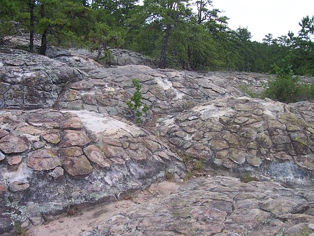 istock Turtle Rocks at Petit Jean State Park 482020654