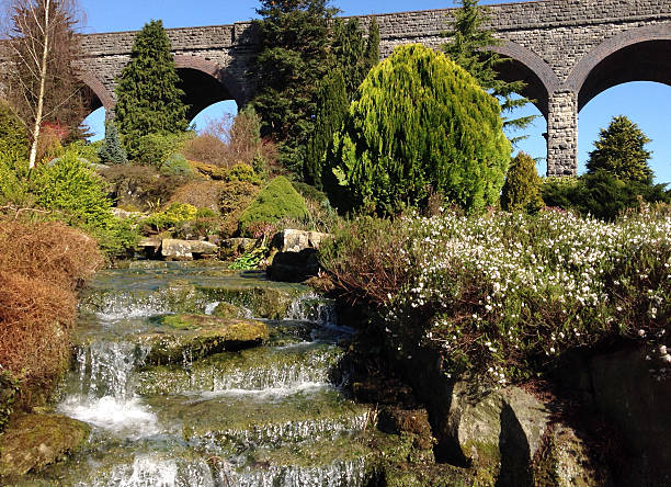istock Image of cascading waterfall in rockery garden 482020743