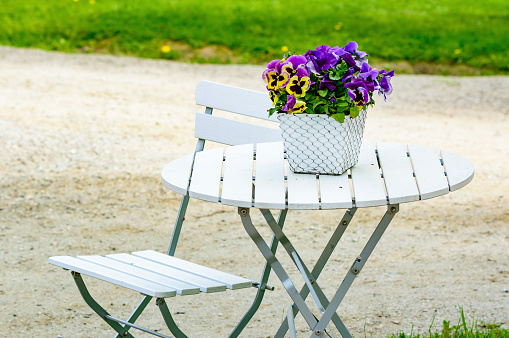 Lovely purple and yellow pansy flowers on white outdoor furniture. Furniture has metal details and wooden surface. One chair and table. Flowerpot has netting on outside. Gravel and grass in background.