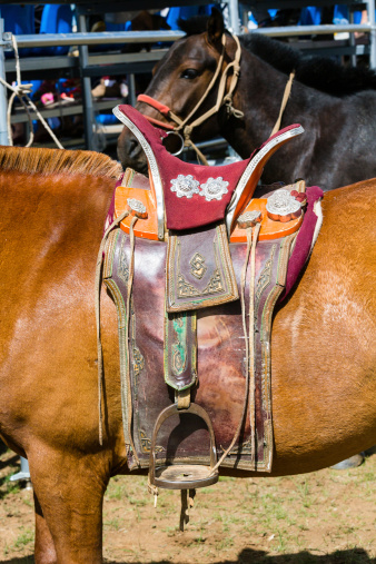 Close up of a working cowboy's leg with chaps and boots in the stirrups