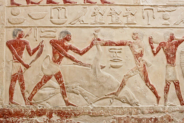 istock An ancient egyptian relief in Saqqara. 482022411