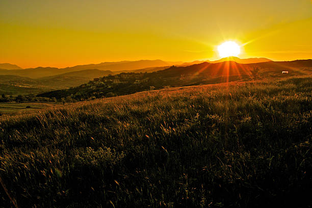 Rural sunset stock photo