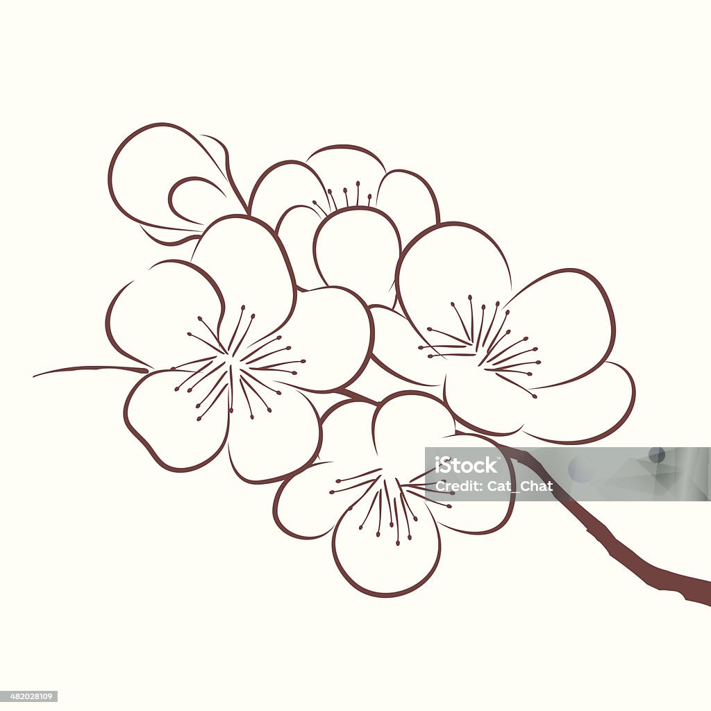 Primavera flor de cerezo - arte vectorial de Albaricoque libre de derechos