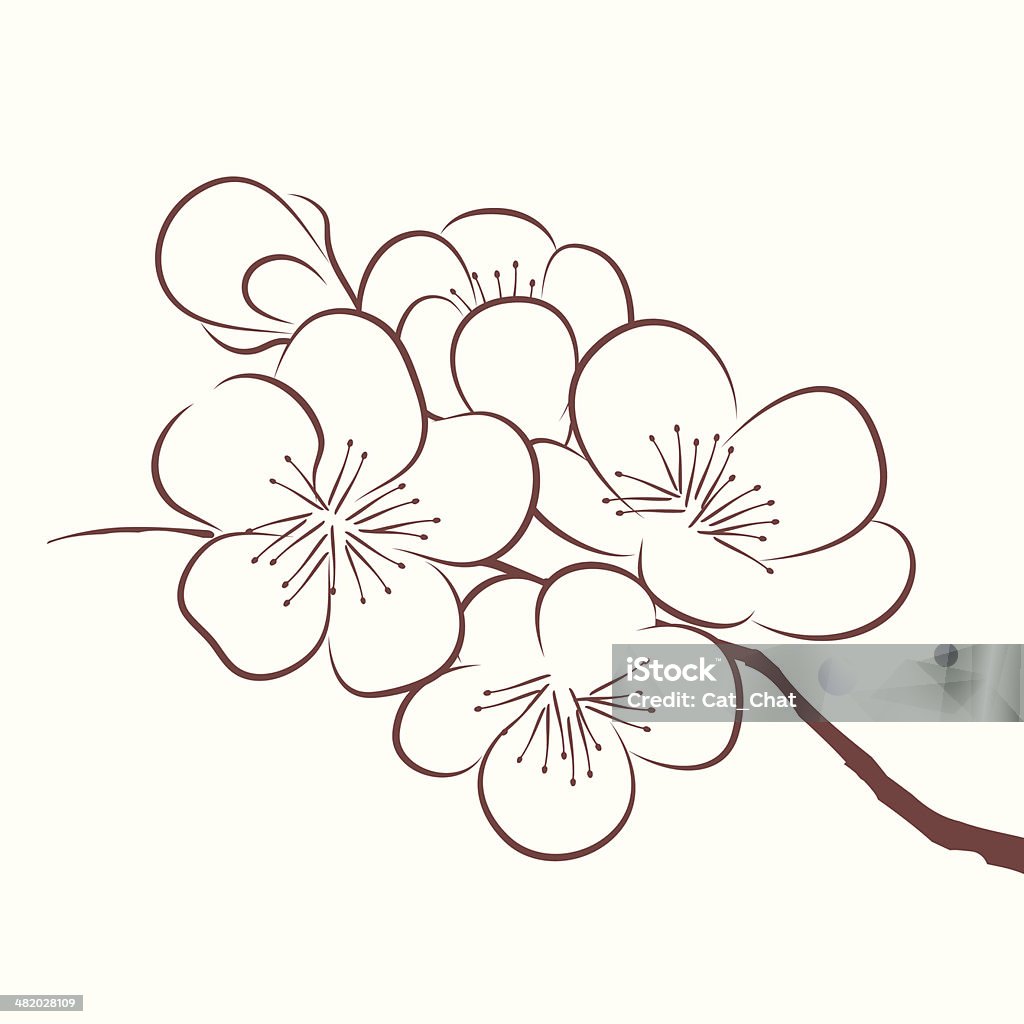 Primavera Flor de cerejeira - Royalty-free Ameixa - Fruta arte vetorial