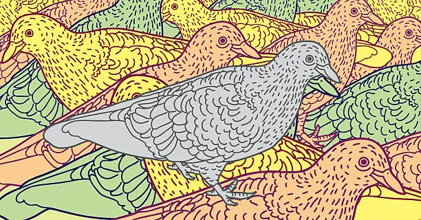 Vector illustration of Pigeon Background