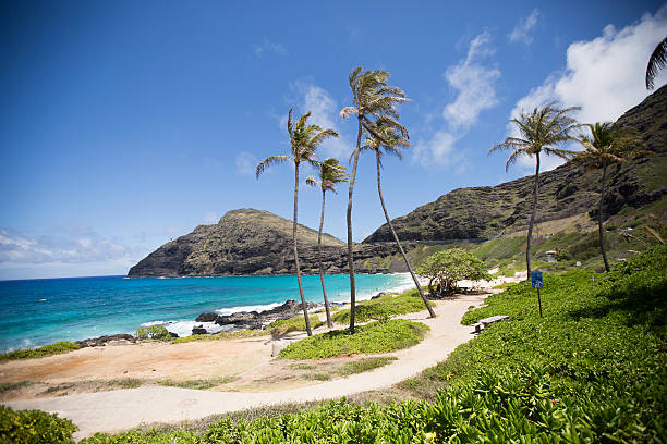 istock Tropical island paradise beach 482030266
