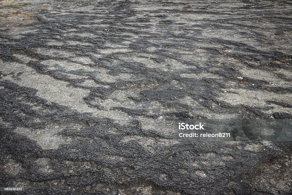 limestone texture Cereal Plant Stock Photo