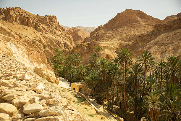 istock Mountain path in Sahara desert Tunisia 482031154