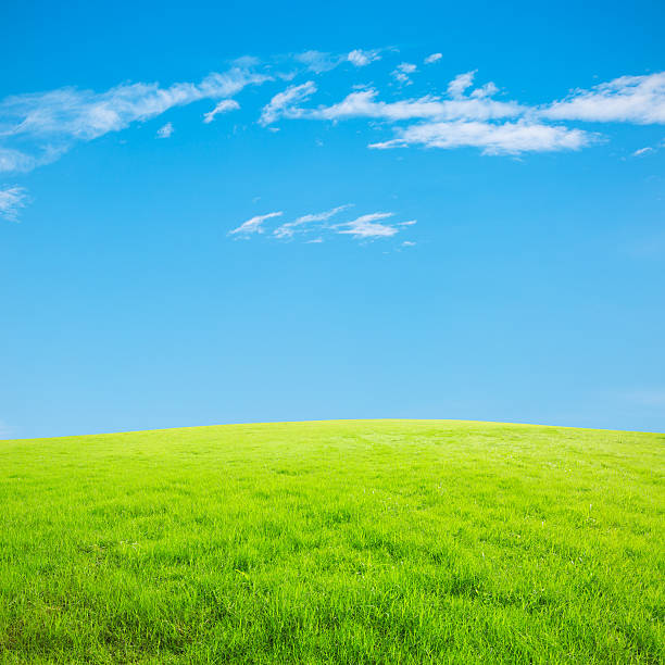istock green field and blue sky 482031242