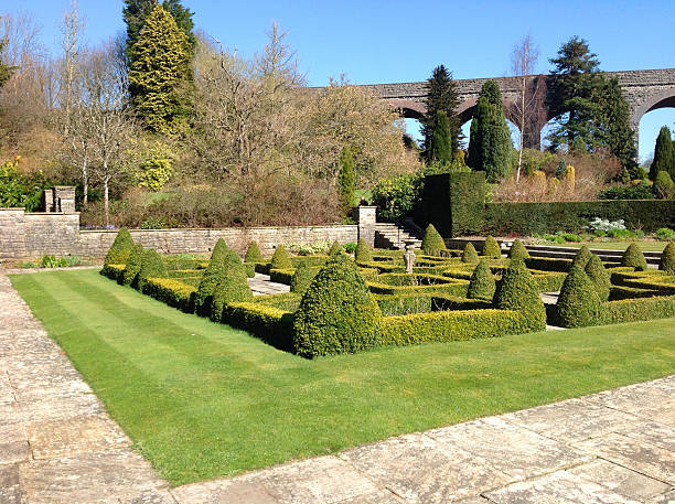 istock Image of a topiary box hedge garden ? formal knot garden 482032241