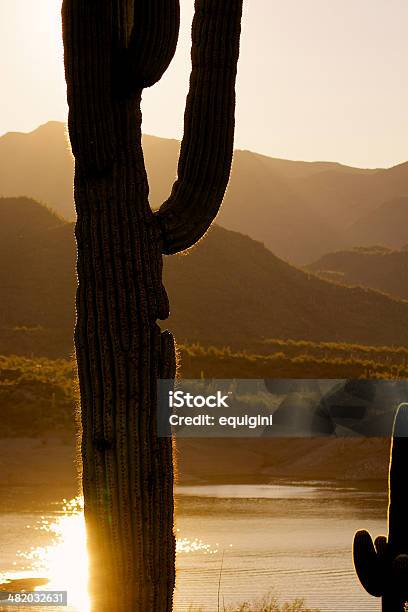 Saguaro En Sunrise Foto de stock y más banco de imágenes de Aire libre - Aire libre, Arizona, Belleza de la naturaleza