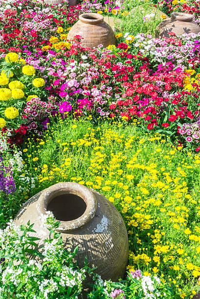 istock Beautiful flower garden. 482033982