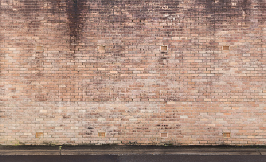 Mouldy brick wall in alley way.