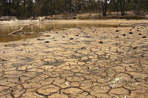 Drying mud near bush dam Drying mud near dam in Australian bush setting, Victoria, Australia el nino stock pictures, royalty-free photos & images