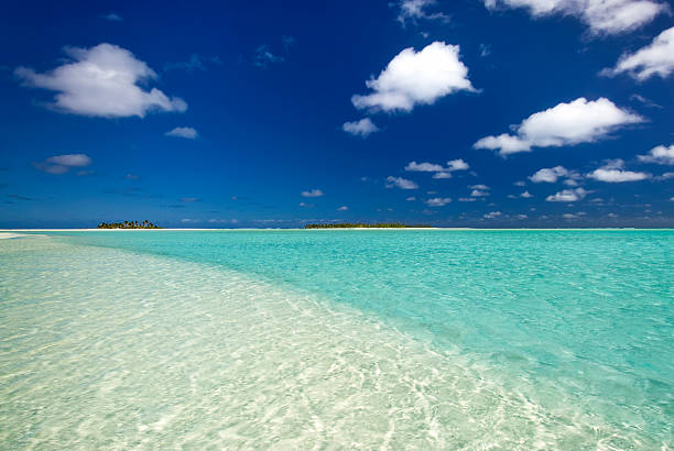 istock Sandy, shallow, tropical water with palm tree island in distance 482034809