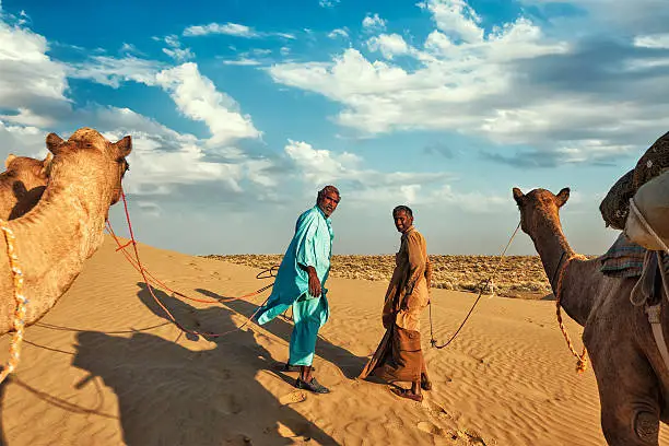Rajasthan travel background - two indian cameleers (camel drivers) with camels in dunes of Thar desert. Jaisalmer, Rajasthan, India
