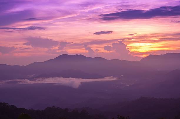 istock Beautiful twilight in rainforest after rainy. 482038968
