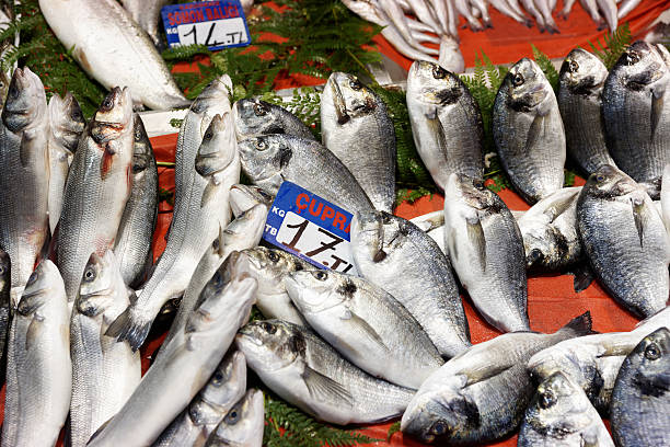 mercado de peixe de rua em istambul - catch of fish gilt head bream variation fish imagens e fotografias de stock