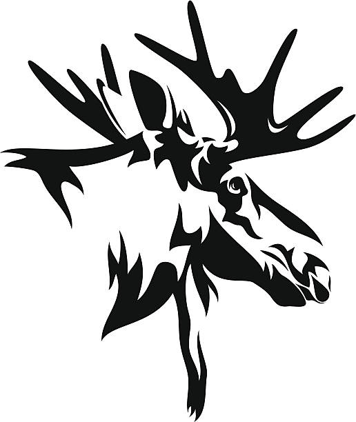 moose head moose or elk (Alces alces) head black and white design - realistic animal outline alces alces gigas stock illustrations