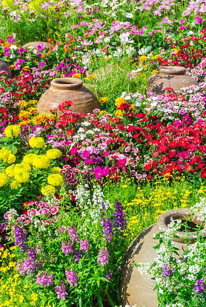 istock Beautiful flower garden. 482040648