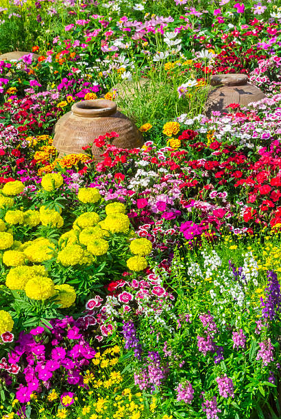 istock Beautiful flower garden. 482040652