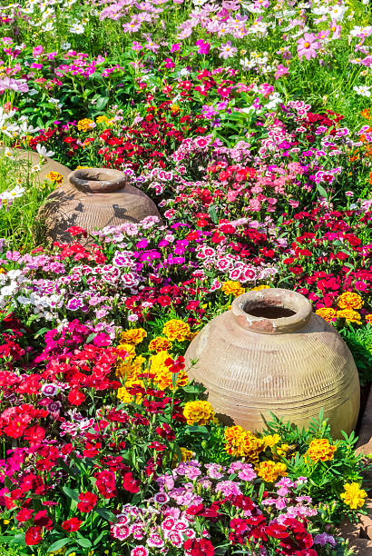 istock Beautiful flower garden. 482040662