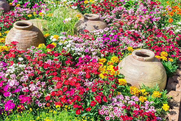 istock Beautiful flower garden. 482040664