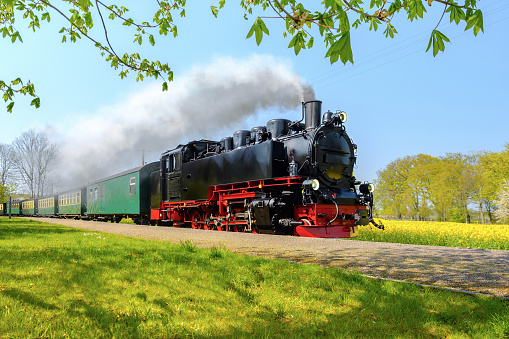 Historical German steam train passes through the fields in sprin