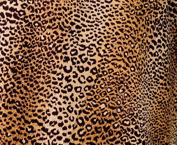 Leopard background Leopard background tillable stock pictures, royalty-free photos & images