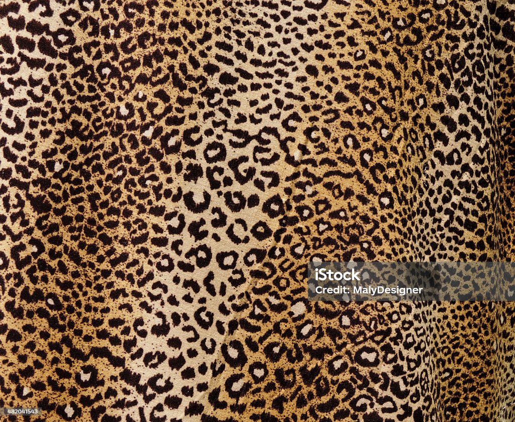 Fundo de Leopardo - Royalty-free Impressão Foto de stock