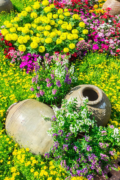 istock Beautiful flower garden. 482043210