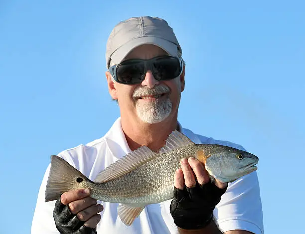 a fisherman holding up a small redfish, commonly called a rat red