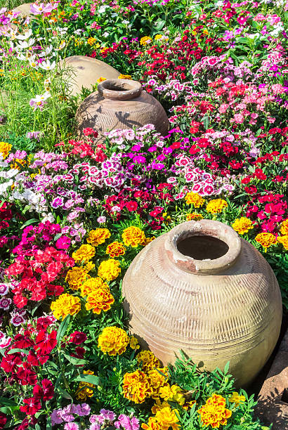 istock Beautiful flower garden. 482043460