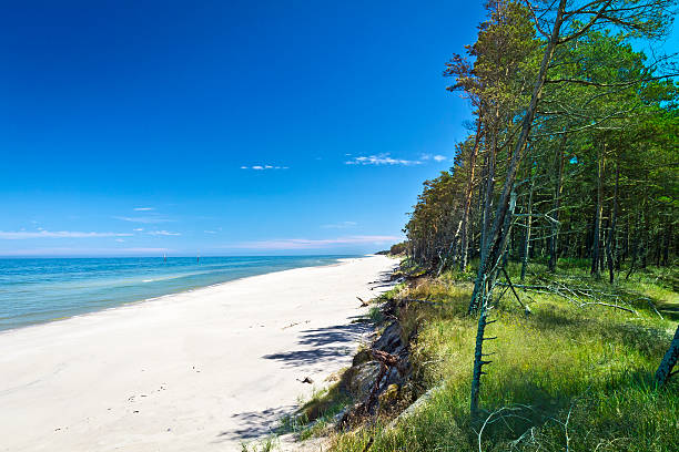 istock Polish seashore, Baltic sea 482043615