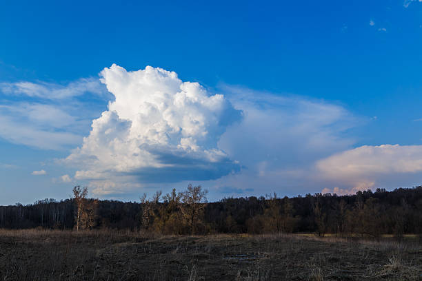 istock beautiful big cloud over the furry forest 482043810