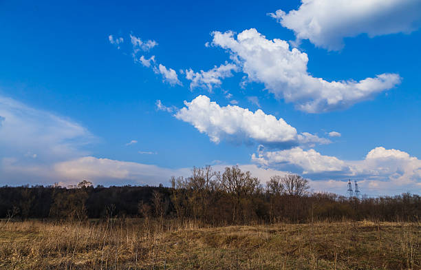 istock beautiful big cloud over the furry forest 482043814