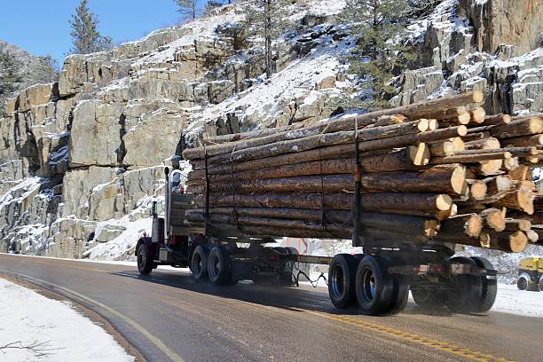 poudre canyon no inverno - lumber industry cold day forest imagens e fotografias de stock