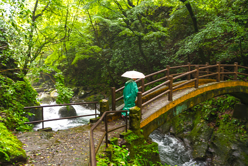 Takachiho Gorge, Takachiho-kyō, narrow chasm cut through the rock by the Gokase River. Stone bridge over the river in middle of the green forest. A man in green rain coat and with an umbrella is crossing the bridge.