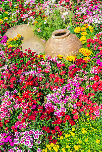 istock Beautiful flower garden. 482044412